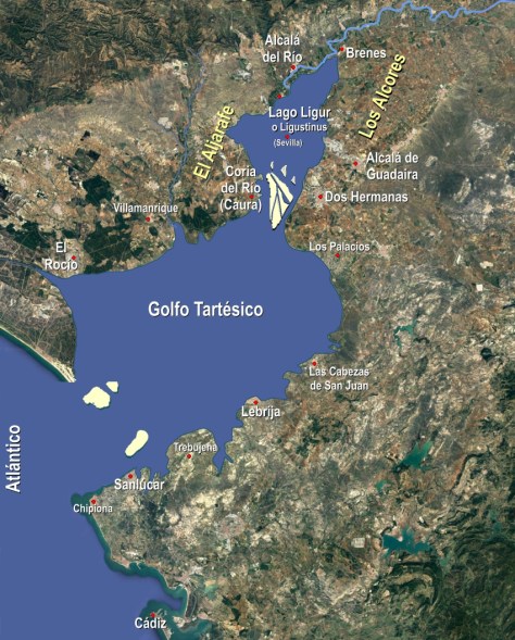 guadalquivir-ligustino