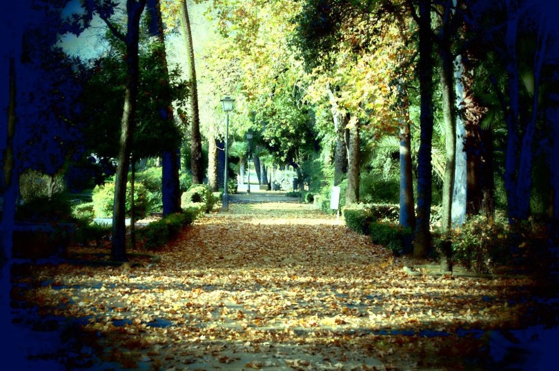 parque-hojas