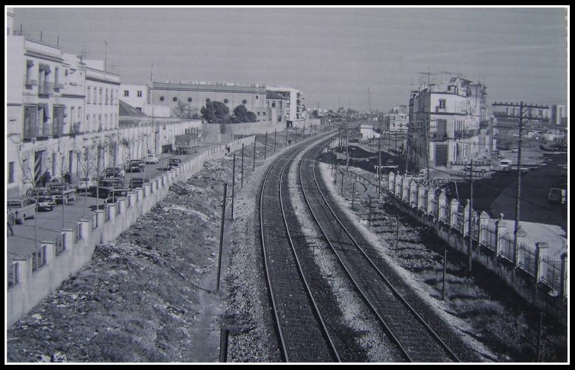 sevilla-calzada